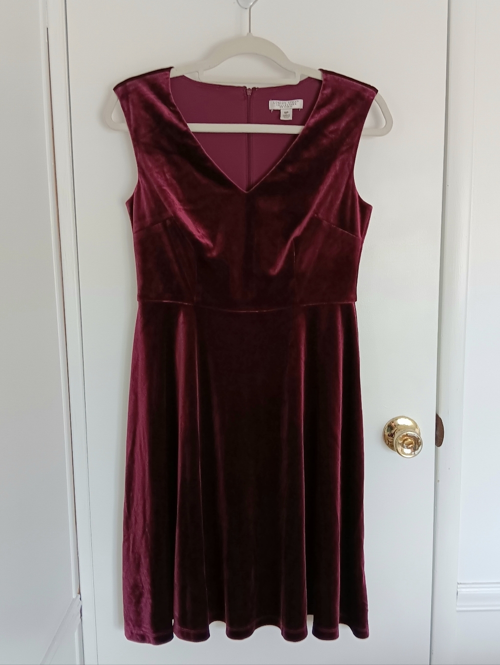 Velvet V-Neck Burgundy Dress Sleeveless Fit & Flare Regency Goth Dark Academia